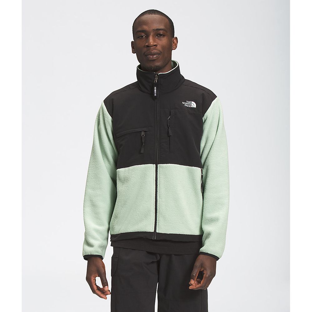 The North Face Fleece Jacket Mens Australia - The North Face ’95 Retro Denali Green Snow (BAV-648095